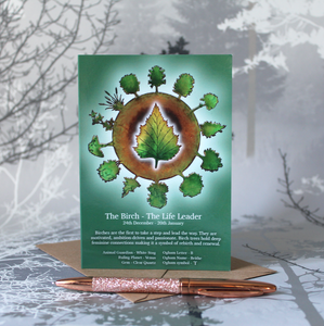 The Birch - Celtic Tree Calendar - 24th Dec - 20th Jan