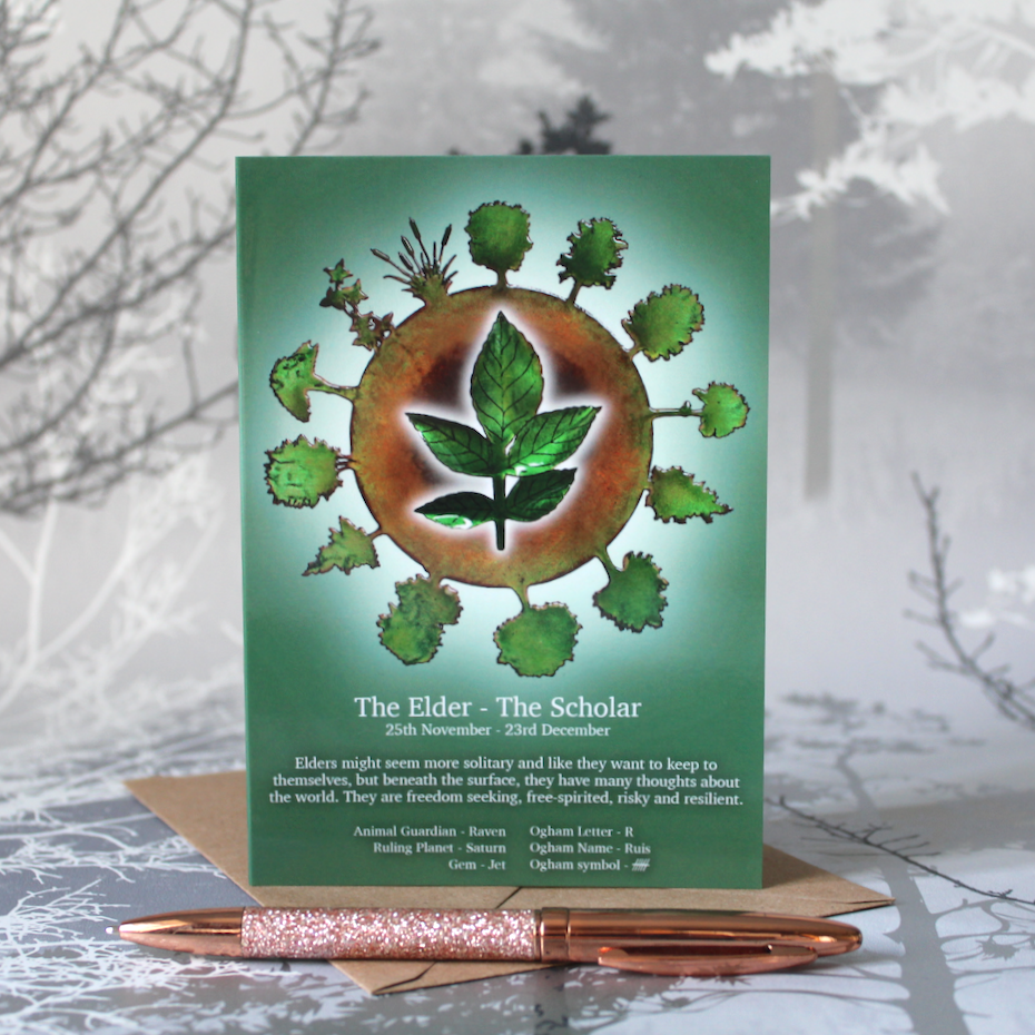 The Elder - Celtic Tree Calendar - 25th Nov - 23rd Dec