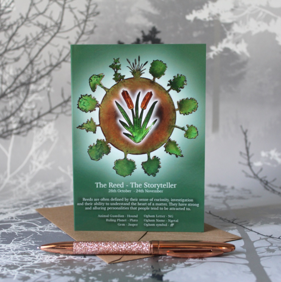 The Reed - Celtic Tree Calendar - 28th Oct - 24th Nov