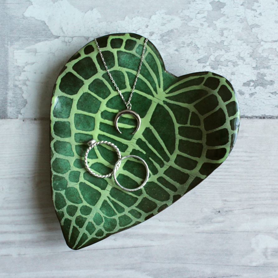 Anthurium Clarinervium Dish