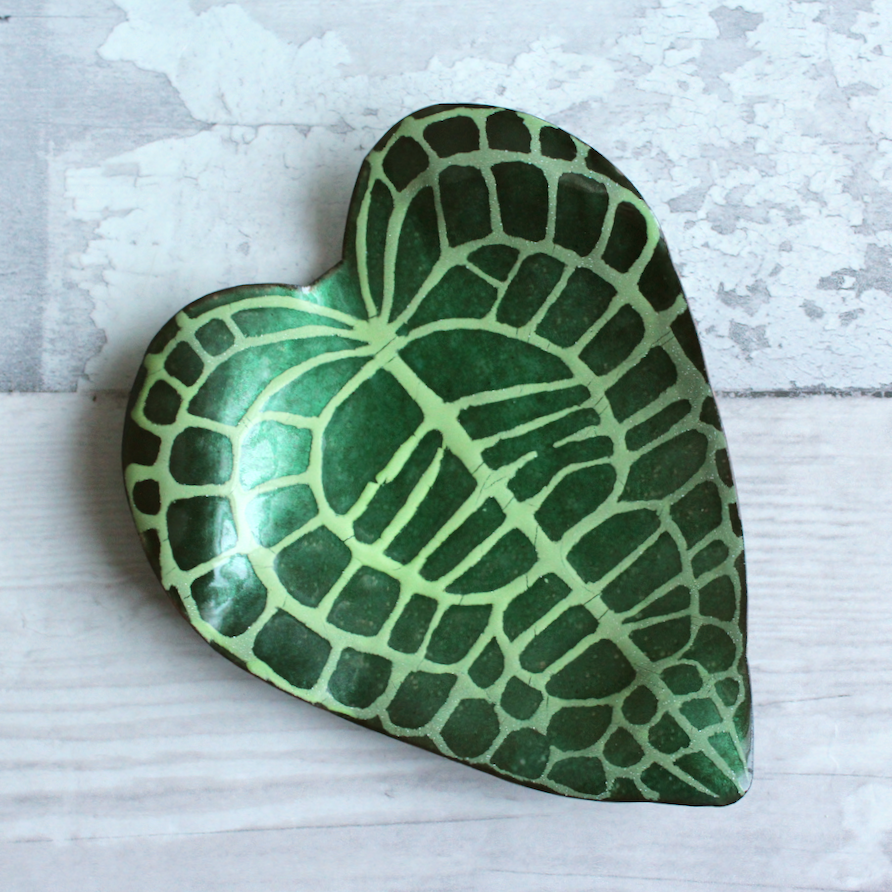 Anthurium Clarinervium Dish
