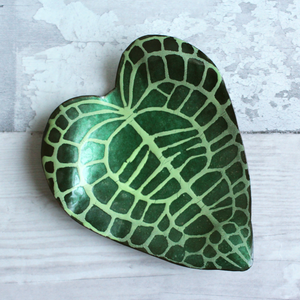 Anthurium Clarinervium Dish