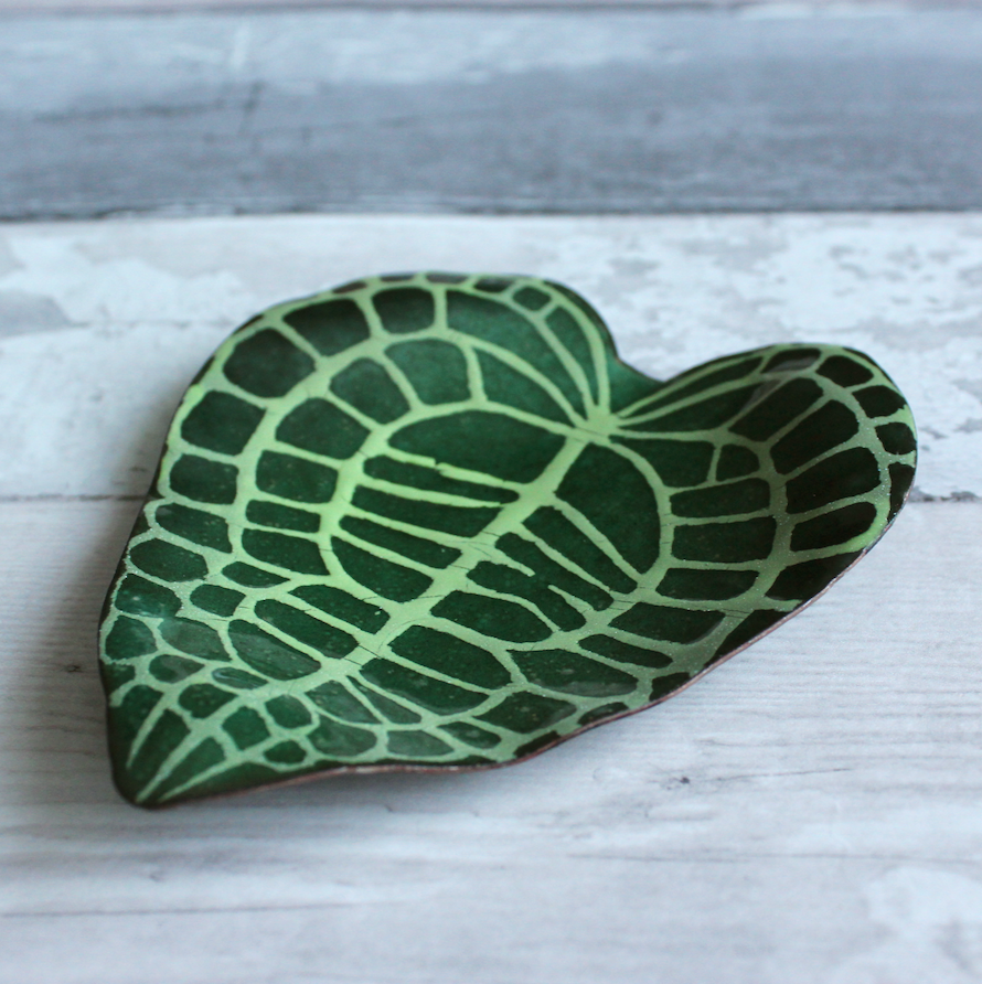Anthurium Clarinervium Dish