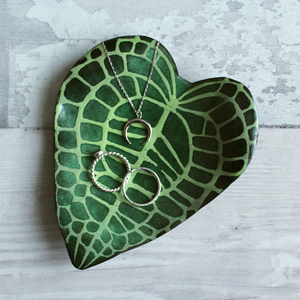 Anthurium Clarinervium Dish