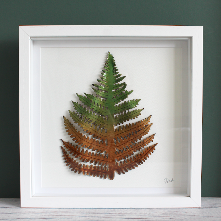 Bracken - X Large Frame