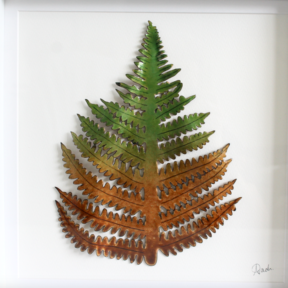 Bracken - X Large Frame
