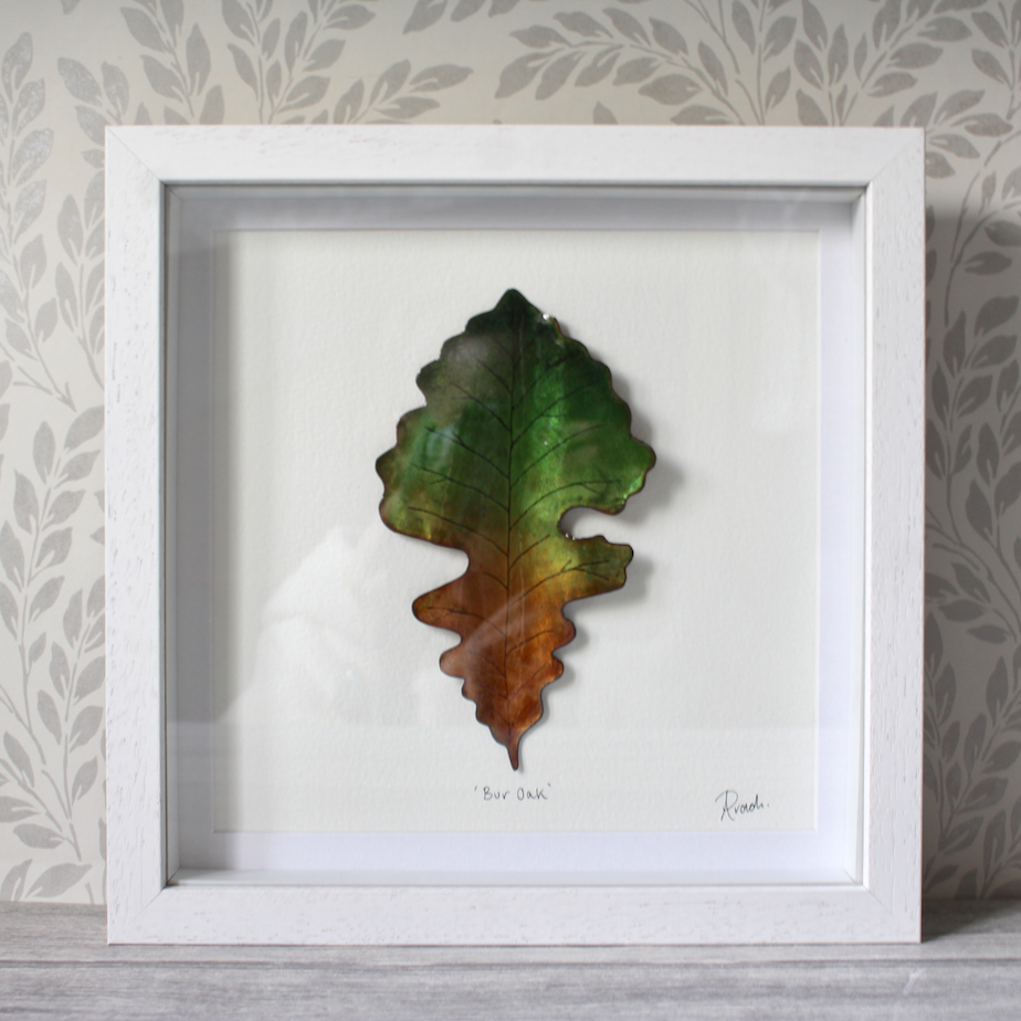 Bur Oak - Large Frame