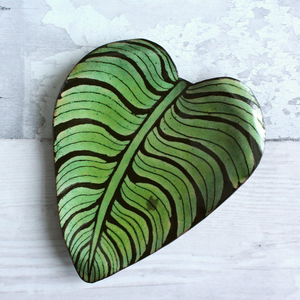 Calathea Orbifolia Dish