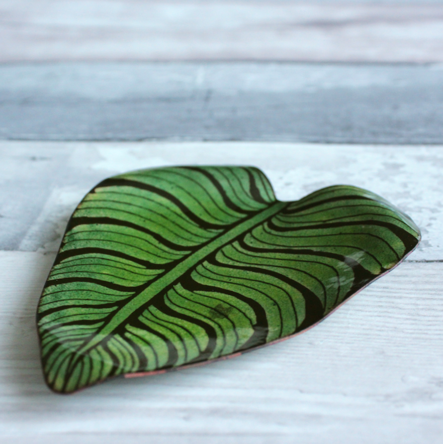 Calathea Orbifolia Dish