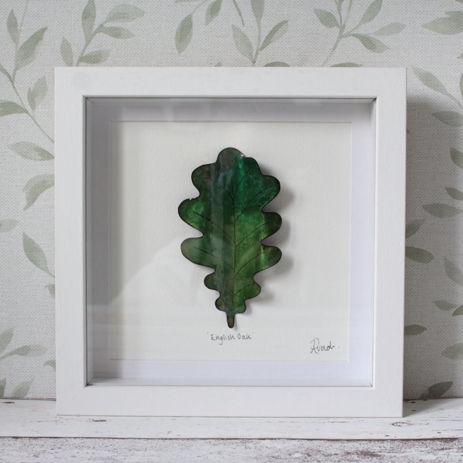 English Oak - Medium Frame