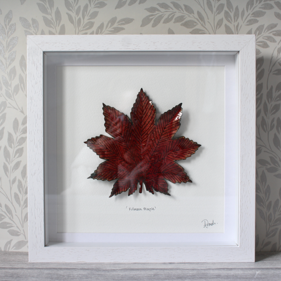Fullmoon Maple - Large Frame