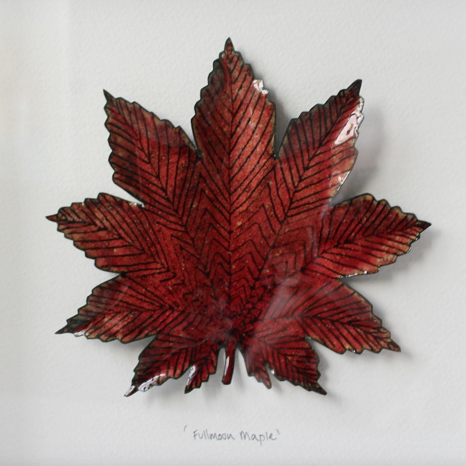 Fullmoon Maple - Large Frame