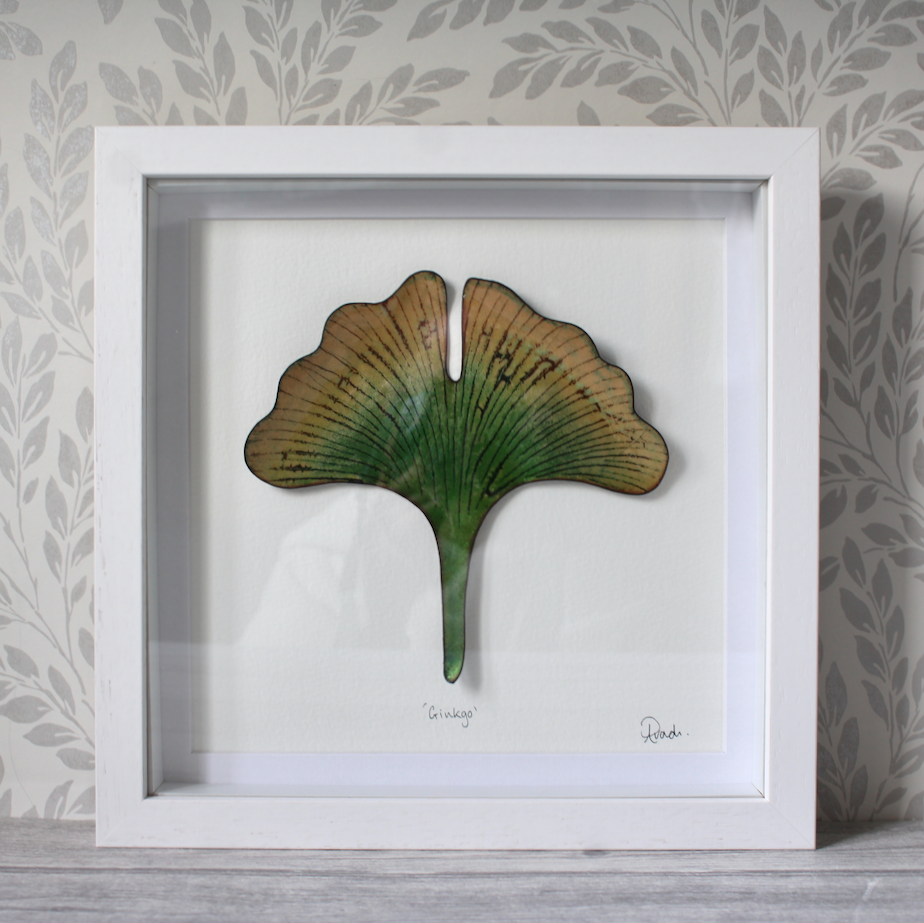 Ginkgo - Large Frame