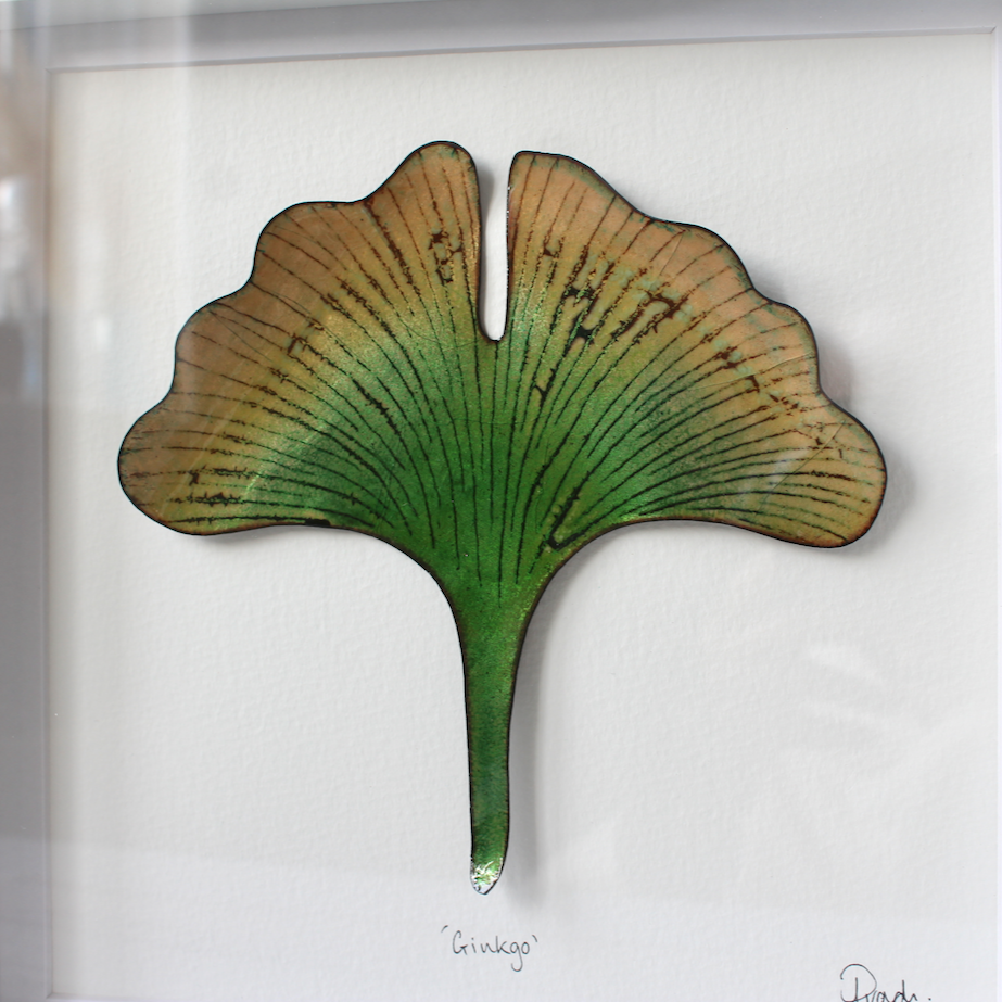 Ginkgo - Large Frame