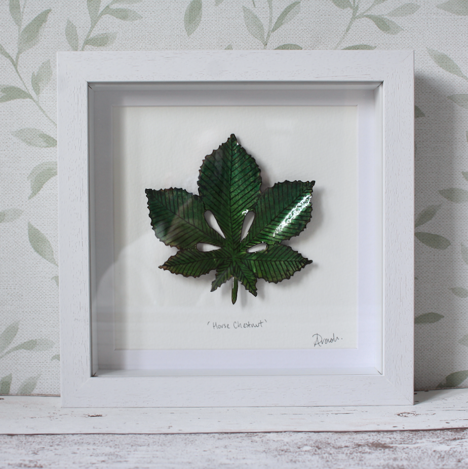 Horse Chestnut - Medium Frame