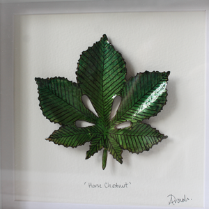 Horse Chestnut - Medium Frame