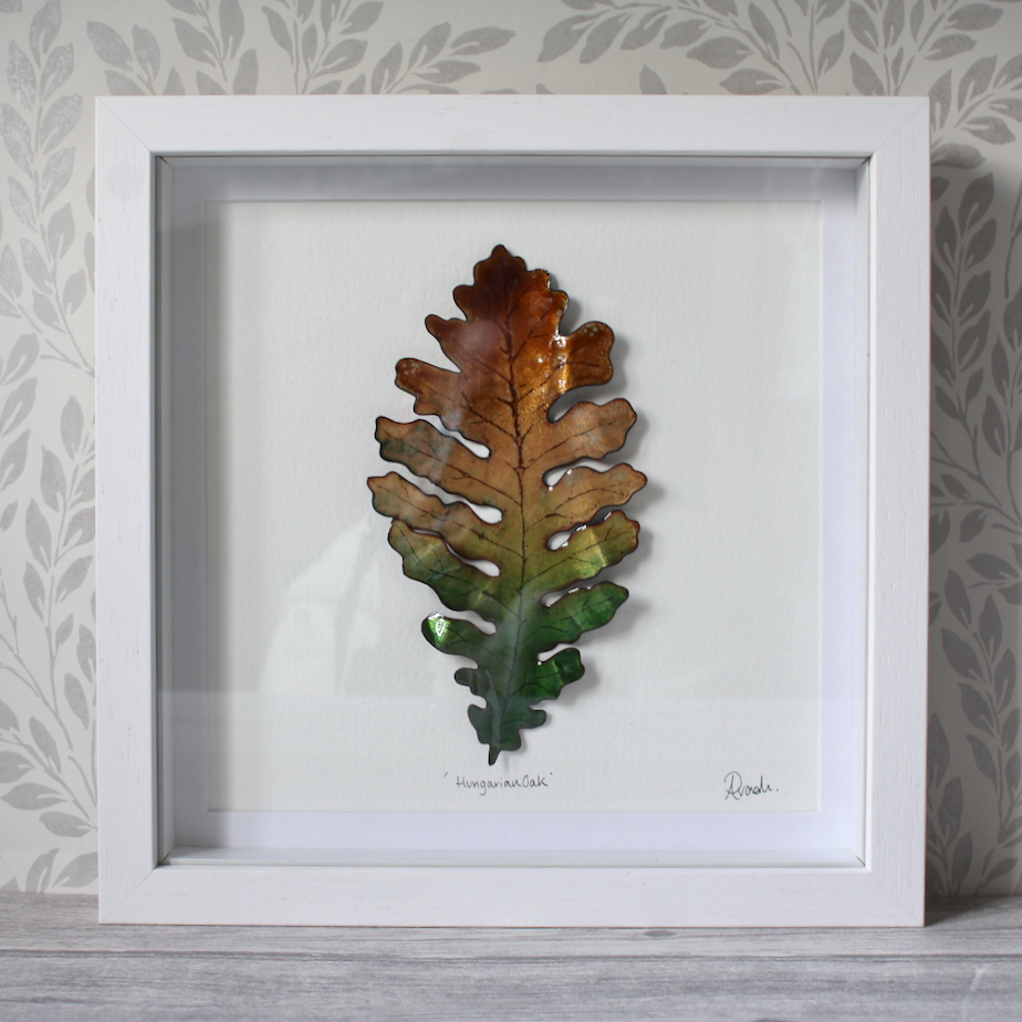 Hungarian Oak - Large Frame