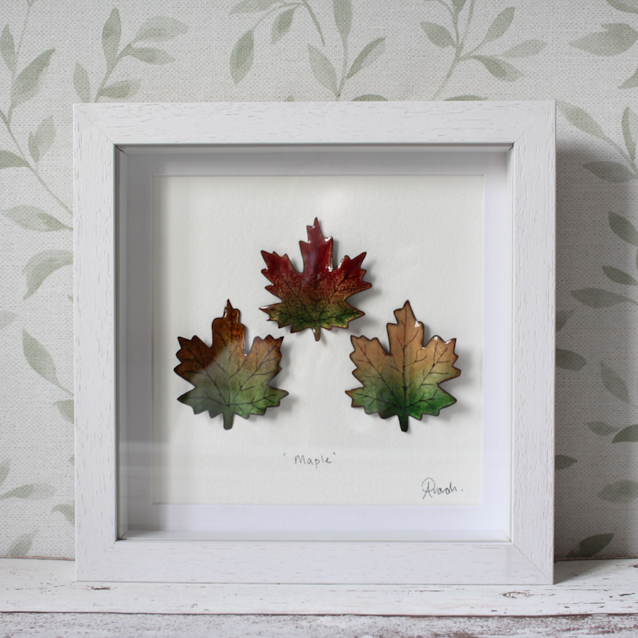 Maple Trio - Medium Frame