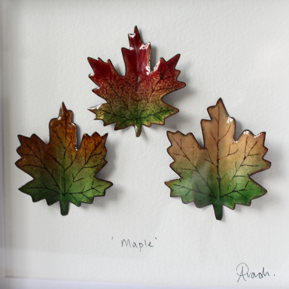 Maple Trio - Medium Frame