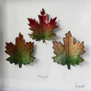 Maple Trio - Medium Frame