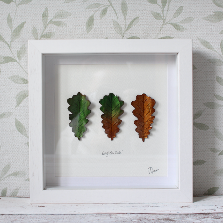 Oak Trio - Medium Frame