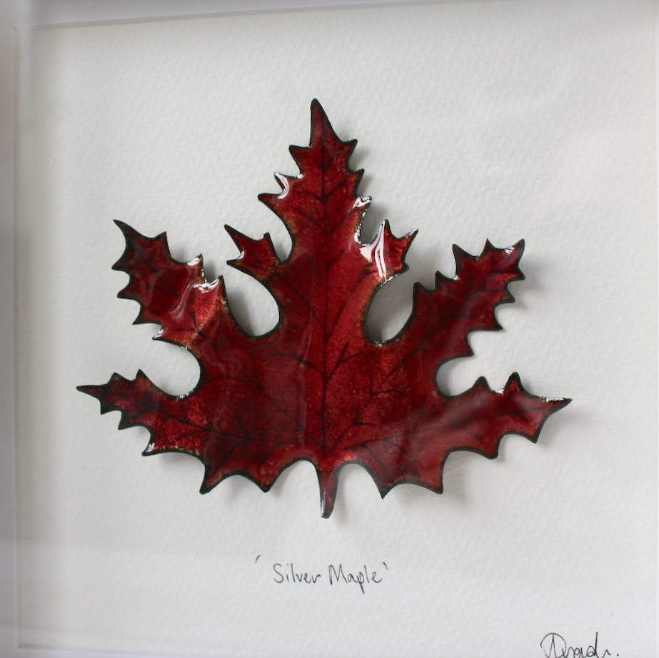 Silver Maple - Medium Frame