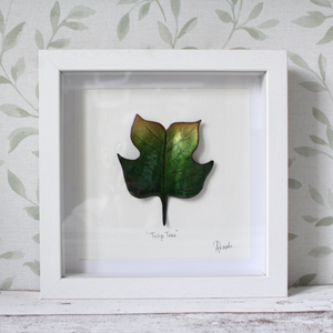 Tulip Tree - Medium Frame