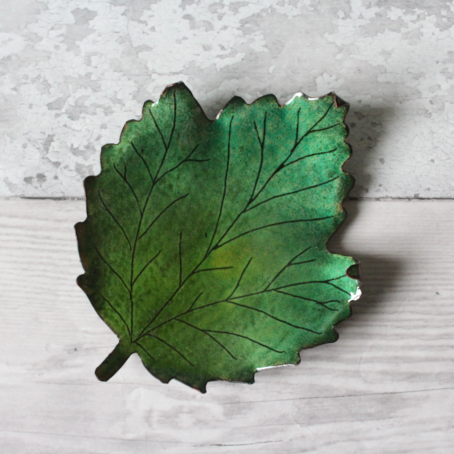 Acer Dish