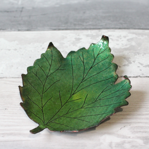 Acer Dish