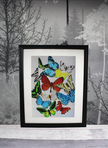 Butterfly Giclee A4