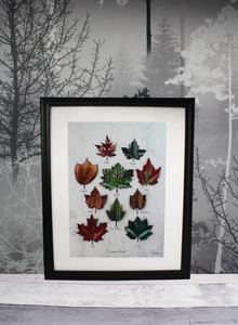 Canadian Maple Giclee A4
