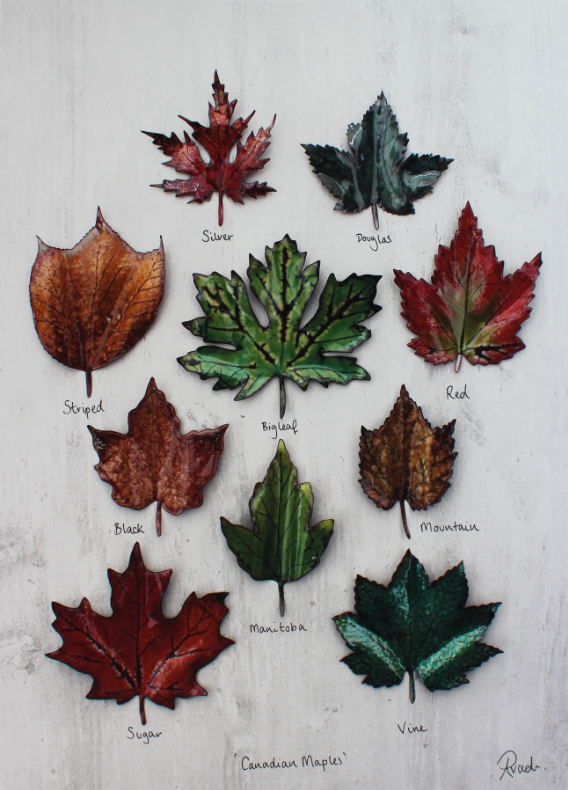 Canadian Maple Giclee A4