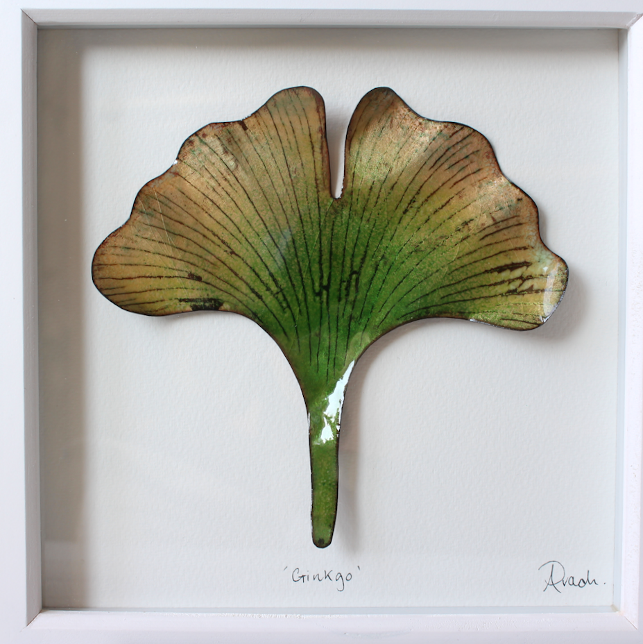 Ginkgo - Large Frame