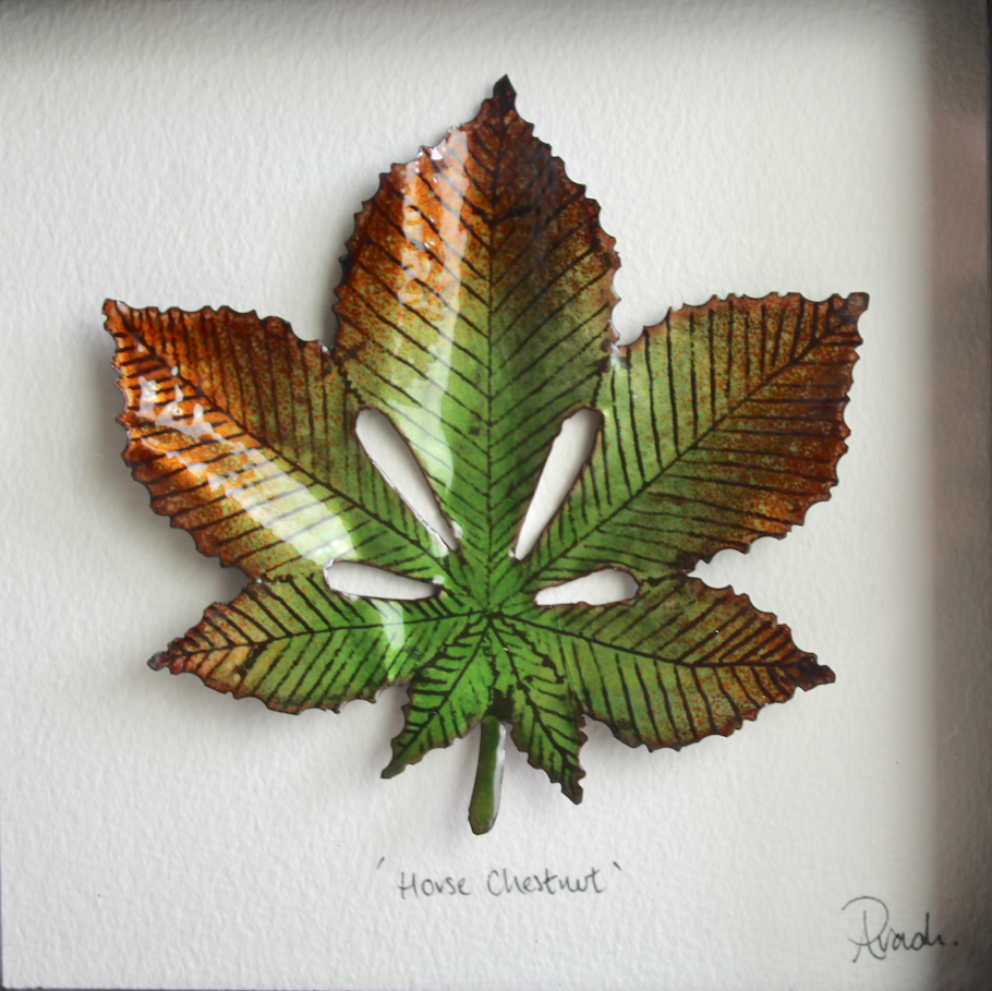 Horse Chestnut - Medium Frame